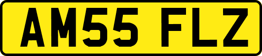 AM55FLZ