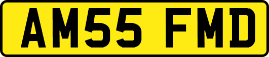 AM55FMD