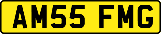 AM55FMG