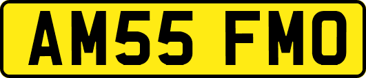 AM55FMO
