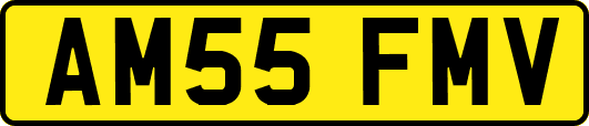 AM55FMV