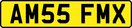 AM55FMX