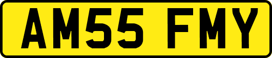AM55FMY