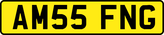 AM55FNG