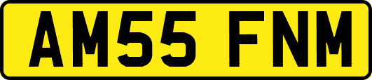 AM55FNM