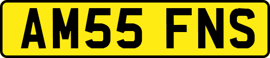 AM55FNS