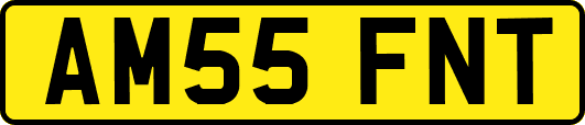 AM55FNT