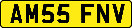 AM55FNV