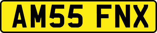 AM55FNX