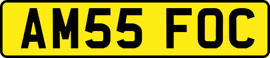 AM55FOC