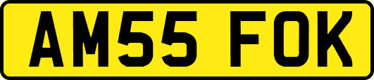 AM55FOK