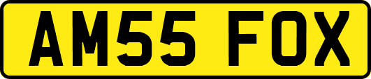AM55FOX