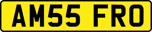 AM55FRO