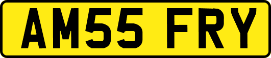 AM55FRY