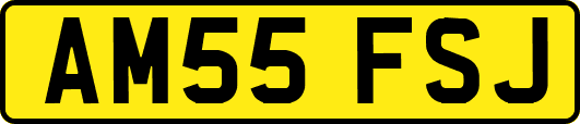 AM55FSJ