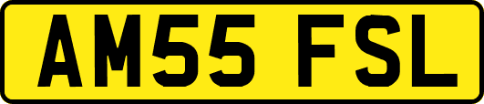 AM55FSL