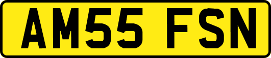 AM55FSN