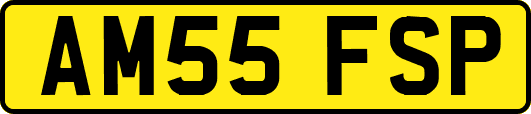 AM55FSP