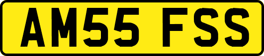 AM55FSS
