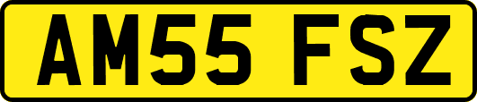 AM55FSZ