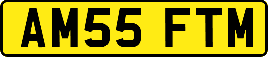 AM55FTM