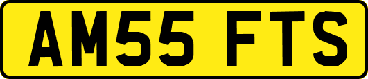 AM55FTS