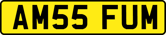 AM55FUM