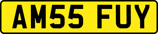 AM55FUY