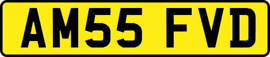 AM55FVD