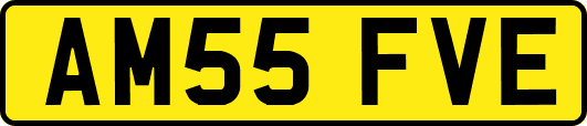 AM55FVE