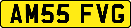 AM55FVG