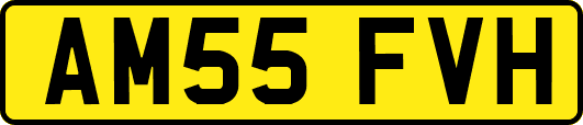AM55FVH