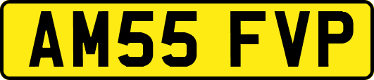 AM55FVP