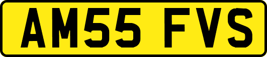 AM55FVS
