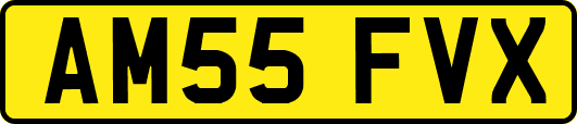 AM55FVX