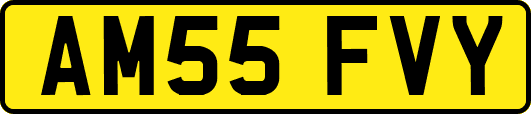 AM55FVY