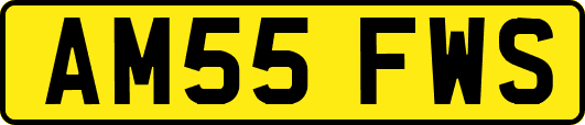 AM55FWS