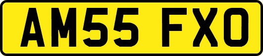 AM55FXO