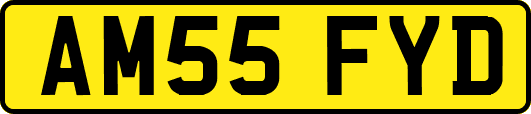 AM55FYD