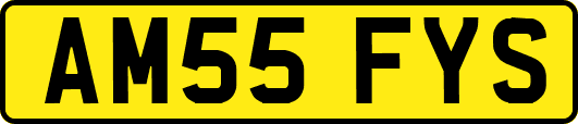 AM55FYS
