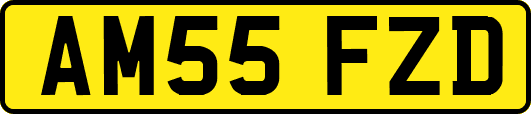 AM55FZD