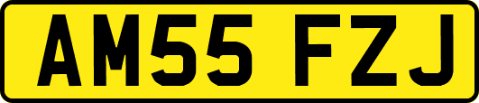 AM55FZJ