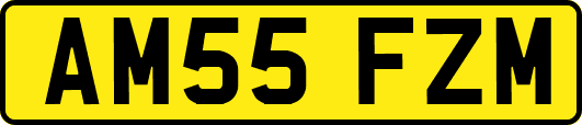 AM55FZM
