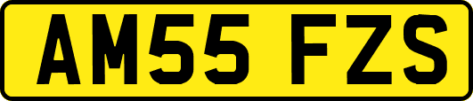 AM55FZS