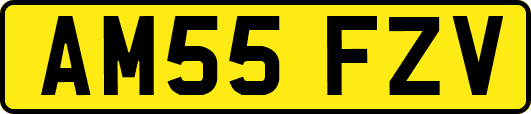 AM55FZV