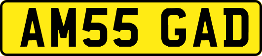 AM55GAD