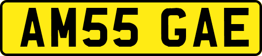 AM55GAE