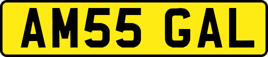 AM55GAL