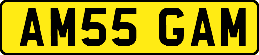 AM55GAM