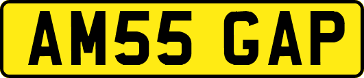 AM55GAP